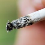 Interdiction de fumer pendant un an au parc Montsouris