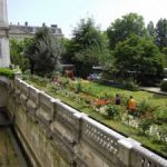 Le jardin de l’Hôtel de Ville va accueillir de nouveaux pensionnaires