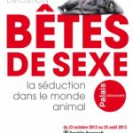 Expo : Bêtes de sexe, la séduction dans le monde animal